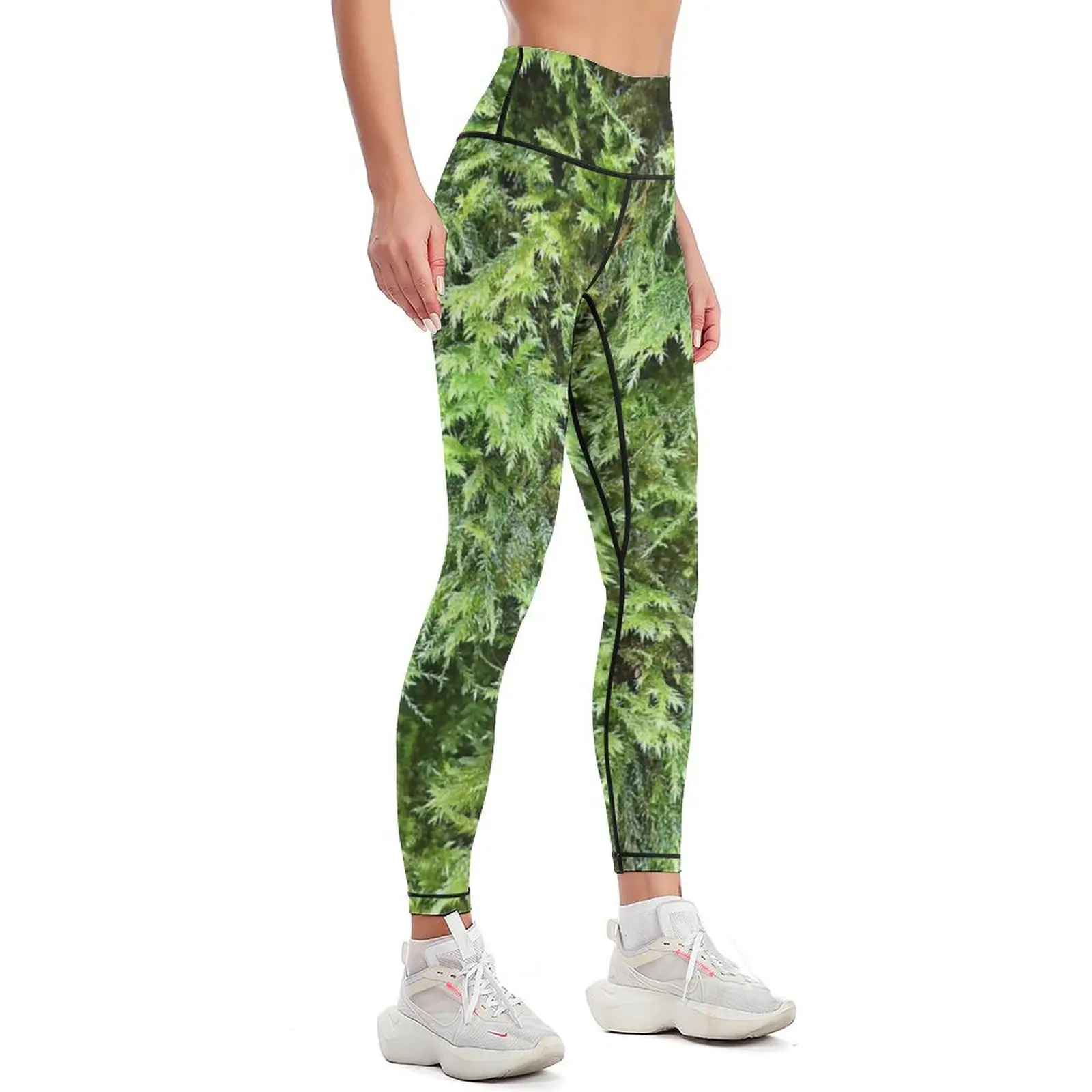 Fotografi lumut 1 Legging Cela - Photography Yoga ulasan dan harga