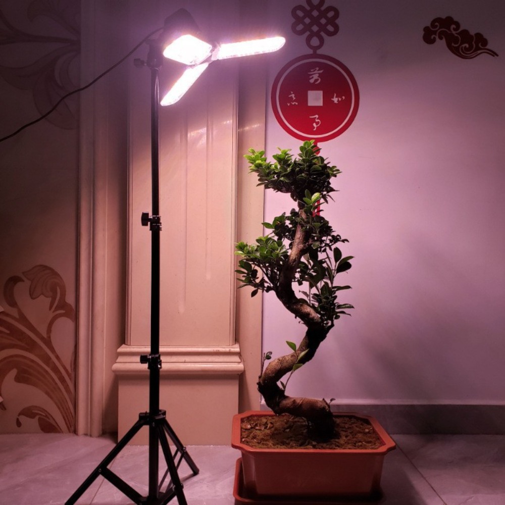 Statif Lampu 2M, Soket AC E27  - Photography Bulb ulasan dan harga